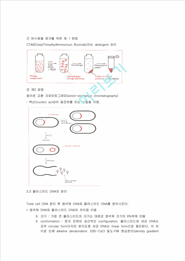 [의학,약학] [미생물학 실험] 세포로부터의 DNA 분리, 정제.hwp